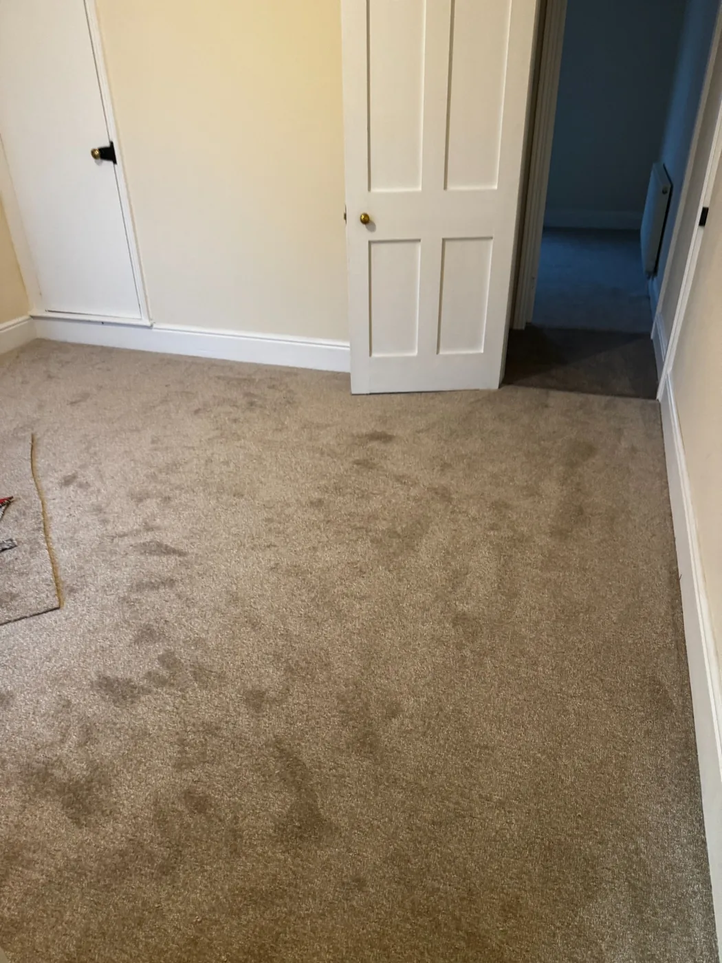 True Form Flooring carpet installation project